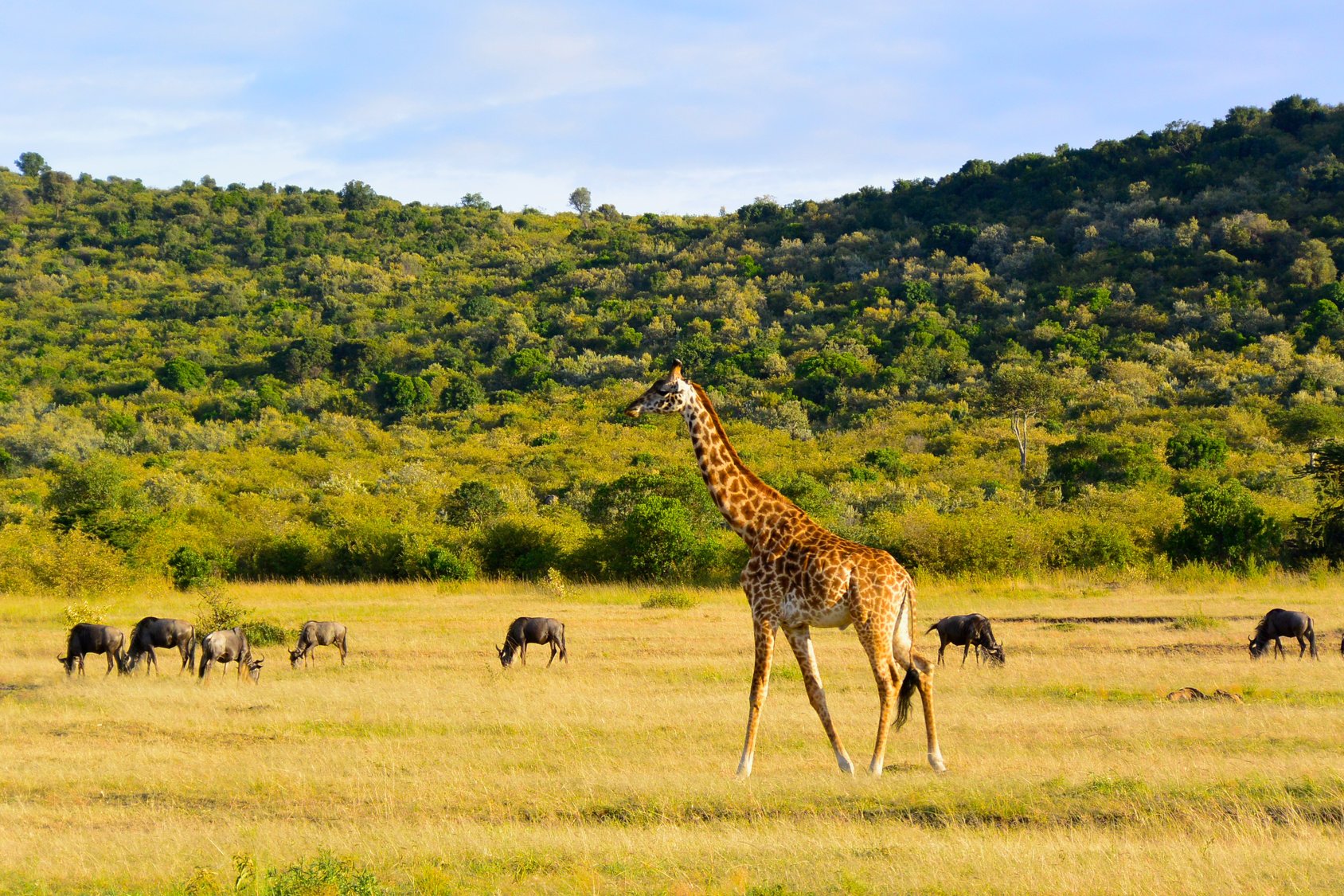 Kruger National Park Holidays | Breath-taking Kruger Holidays